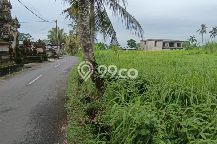 Tanah Kavling untuk Disewa di Ubud Gianyar 3500m2 Tanah Kavling untuk Disewa di Ubud Gianyar 3500m2