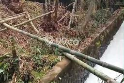 Tanah Kavling untuk Dijual di Penebel Tabanan 3000m2 Tanah Kavling untuk Dijual di Penebel Tabanan 3000m2