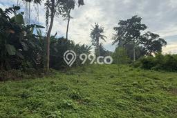 Tanah Disewa Strategis di Gianyar Luas 2000m2 Tanah Disewa Strategis di Gianyar Luas 2000m2