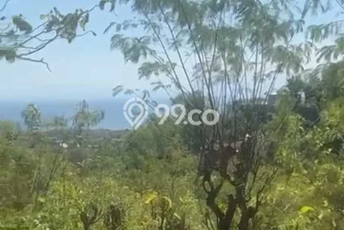 Tanah Kavling di Kuta Selatan Badung Disewakan dengan Luas 15000m2 Tanah Kavling di Kuta Selatan Badung Disewakan dengan Luas 15000m2
