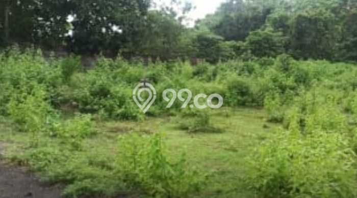 Kavling Tanah Dijual di Kuta Selatan Badung Spesifikasi 200m2 Kavling Tanah Dijual di Kuta Selatan Badung Spesifikasi 200m2