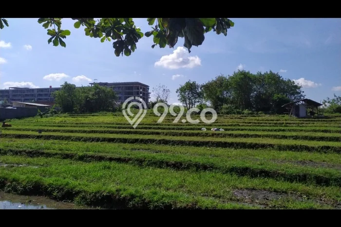 Untuk Dijual Tanah di Badung, Luas 730m2 SHM Untuk Dijual Tanah di Badung, Luas 730m2 SHM