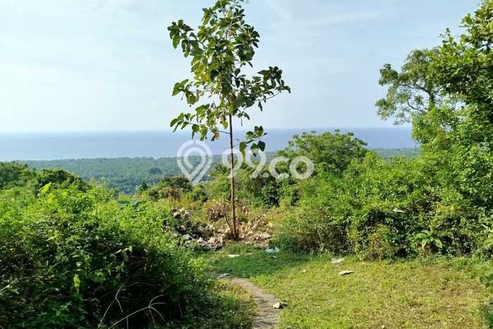 Tanah Lokasi Prima di Kubutambahan, Luas 13000m², Kawasan Asri, Dekat Kubutambahan, Buleleng, Buleleng Tanah Lokasi Prima di Kubutambahan, Luas 13000m², Kawasan Asri, Dekat Kubutambahan, Buleleng, Buleleng