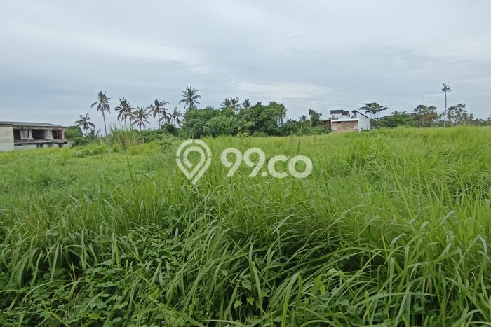 Tanah Kavling untuk Disewa di Ubud Gianyar 3500m2 Tanah Kavling untuk Disewa di Ubud Gianyar 3500m2