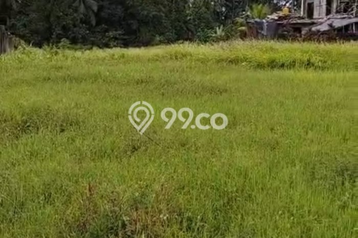 Tanah Kavling untuk Disewa di Ubud Gianyar 3300m2 Tanah Kavling untuk Disewa di Ubud Gianyar 3300m2