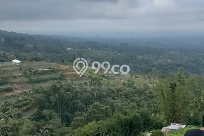 Lahan untuk Disewa di Tabanan Luas 14000m2 Lahan untuk Disewa di Tabanan Luas 14000m2