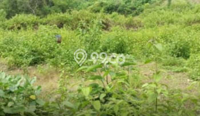 Kavling Tanah Dijual di Kuta Selatan Badung Spesifikasi 200m2 Kavling Tanah Dijual di Kuta Selatan Badung Spesifikasi 200m2