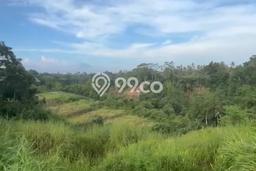 Tanah di Ubud, Gianyar Luas 244m2 Dijual Segera Tanah di Ubud, Gianyar Luas 244m2 Dijual Segera