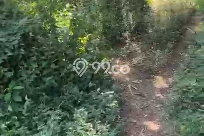 Dijual Tanah 50000m2 di Singaraja, Buleleng Dijual Tanah 50000m2 di Singaraja, Buleleng
