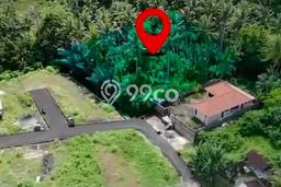 Jarang Ada! Tanah di Ubud Punya Luas 200m2 SHM Jarang Ada! Tanah di Ubud Punya Luas 200m2 SHM