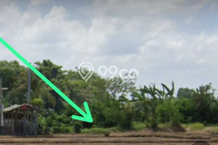Dijual Tanah 210m2 di Kedungu, Tabanan Dijual Tanah 210m2 di Kedungu, Tabanan