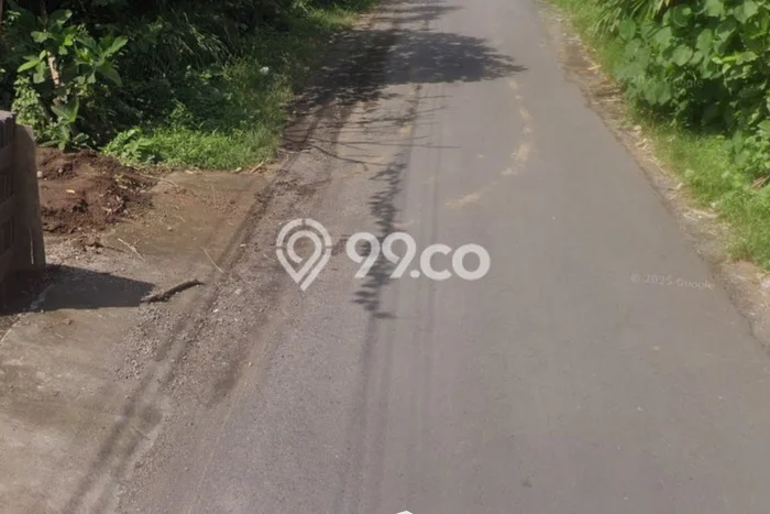 Tanah untuk Disewakan di Ubud Gianyar SHM Tanah untuk Disewakan di Ubud Gianyar SHM