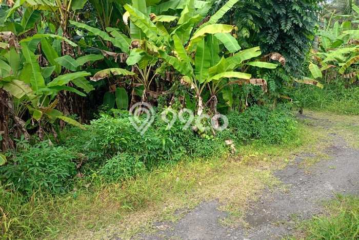 Tanah Dijual di Gianyar Seluas 300m2 Strategis Tanah Dijual di Gianyar Seluas 300m2 Strategis