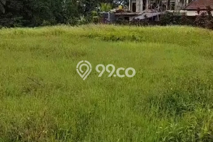 Tanah Kavling untuk Disewa di Ubud Gianyar 3300m2 Tanah Kavling untuk Disewa di Ubud Gianyar 3300m2