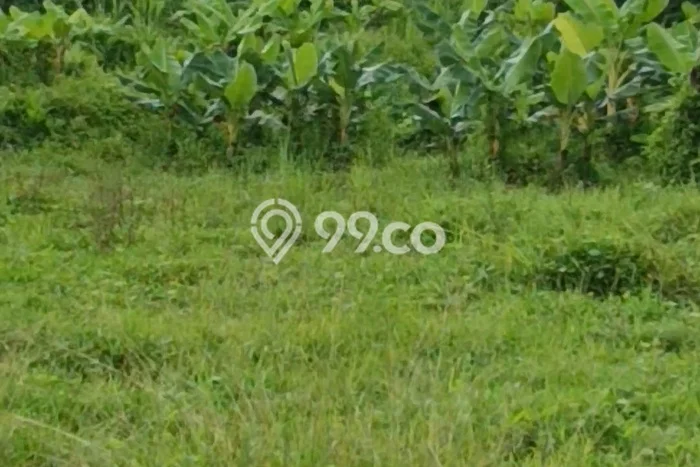 Kavling Tanah Lokasi Strategis di Ubud, Gianyar Disewakan 540m2 Kavling Tanah Lokasi Strategis di Ubud, Gianyar Disewakan 540m2