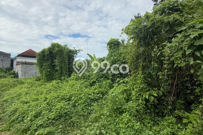 Lahan Dijual Lokasi Strategis di Gianyar dengan Luas 500m2 Lahan Dijual Lokasi Strategis di Gianyar dengan Luas 500m2