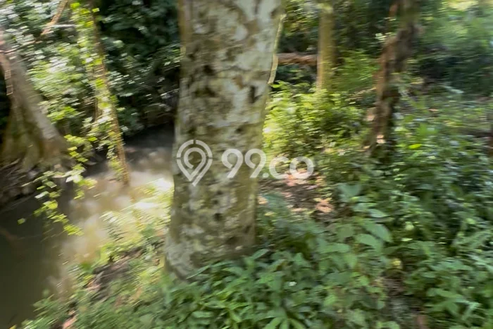 Tanah Kosong Disewakan di Ubud, Gianyar, Luas 1200m2 Tanah Kosong Disewakan di Ubud, Gianyar, Luas 1200m2