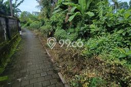 Kavling Tanah Disewakan di Ubud Gianyar Luas 300m2 Strategis Kavling Tanah Disewakan di Ubud Gianyar Luas 300m2 Strategis