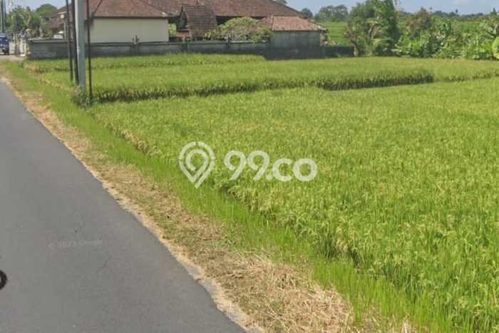 Tanah Dijual Area Strategis di Kedungu Tabanan 1400m2 Tanah Dijual Area Strategis di Kedungu Tabanan 1400m2