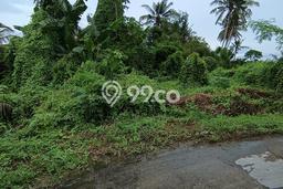 Untuk Dijual Tanah di Gianyar, Luas 200m2 SHM Untuk Dijual Tanah di Gianyar, Luas 200m2 SHM