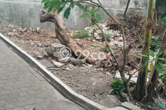 Tanah Dijual Lokasi Denpasar Utara, Denpasar Luas 250m2 Legalitas Aman Tanah Dijual Lokasi Denpasar Utara, Denpasar Luas 250m2 Legalitas Aman