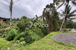 Tanah Area Potensial di Ubud, Luas 757m2m², Dekat ke Fasilitas Umum Tanah Area Potensial di Ubud, Luas 757m2m², Dekat ke Fasilitas Umum