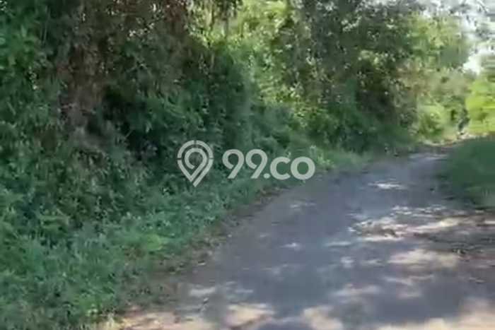 Dijual Tanah 50000m2 di Singaraja, Buleleng Dijual Tanah 50000m2 di Singaraja, Buleleng