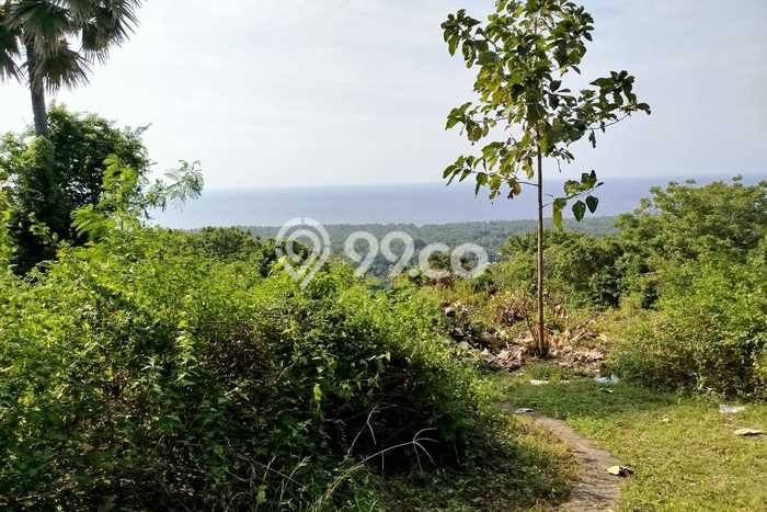 Tanah Lokasi Prima di Kubutambahan, Luas 13000m², Kawasan Asri, Dekat Kubutambahan, Buleleng, Buleleng Tanah Lokasi Prima di Kubutambahan, Luas 13000m², Kawasan Asri, Dekat Kubutambahan, Buleleng, Buleleng