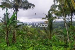 Tanah di Tabanan, Luas 28000m2m², Lokasi Potensial, Kawasan Asri, Kontur Datar Tanah di Tabanan, Luas 28000m2m², Lokasi Potensial, Kawasan Asri, Kontur Datar