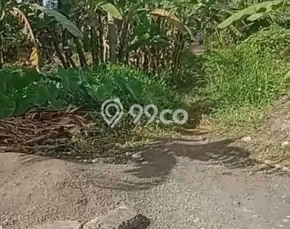 Dijual Tanah Kawasan Buruan, Luas 400m², Lokasi Strategis Dijual Tanah Kawasan Buruan, Luas 400m², Lokasi Strategis