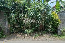 Kavling Tanah Dijual di Ubud Gianyar Spesifikasi 300m2 Kavling Tanah Dijual di Ubud Gianyar Spesifikasi 300m2