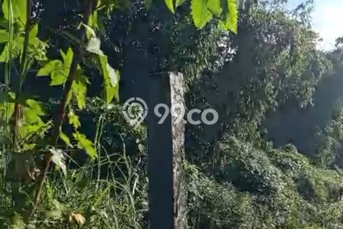 LOKASI STRATEGIS! Tanah Kawasan Bedugul, Luas 330m², Lokasi Potensial, Cocok untuk Hunian LOKASI STRATEGIS! Tanah Kawasan Bedugul, Luas 330m², Lokasi Potensial, Cocok untuk Hunian