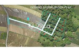 Tanah Dijual di Tabanan Seluas 300m2 Strategis Tanah Dijual di Tabanan Seluas 300m2 Strategis