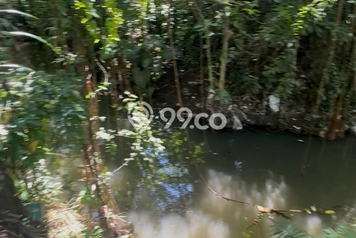 Tanah Kosong Disewakan di Ubud, Gianyar, Luas 1200m2 Tanah Kosong Disewakan di Ubud, Gianyar, Luas 1200m2