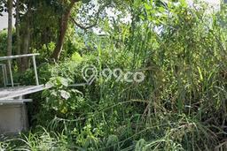 Tanah Investasi Disewakan di Ubud, Gianyar, Luas 1000m2 Tanah Investasi Disewakan di Ubud, Gianyar, Luas 1000m2