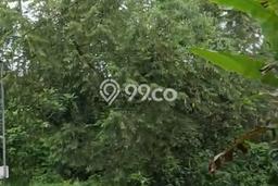 Lahan untuk Dijual Lokasi Ubud, Gianyar Luas 900m2 SHM Lahan untuk Dijual Lokasi Ubud, Gianyar Luas 900m2 SHM