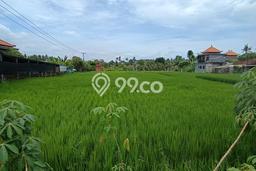 Tanah Kosong Disewakan di Ubud, Gianyar, Luas 900m2 Tanah Kosong Disewakan di Ubud, Gianyar, Luas 900m2
