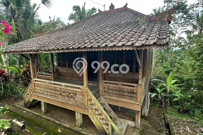 Lahan Dijual Lokasi Penebel, Tabanan dengan Luas Tanah 2830m2 dan Status SHM Lahan Dijual Lokasi Penebel, Tabanan dengan Luas Tanah 2830m2 dan Status SHM