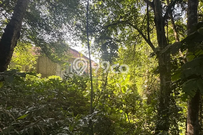 Disewakan Tanah Seluas 1000m2 di Ubud, Gianyar Disewakan Tanah Seluas 1000m2 di Ubud, Gianyar