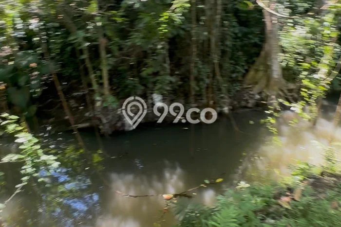 Tanah Kosong Disewakan di Ubud, Gianyar, Luas 1200m2 Tanah Kosong Disewakan di Ubud, Gianyar, Luas 1200m2