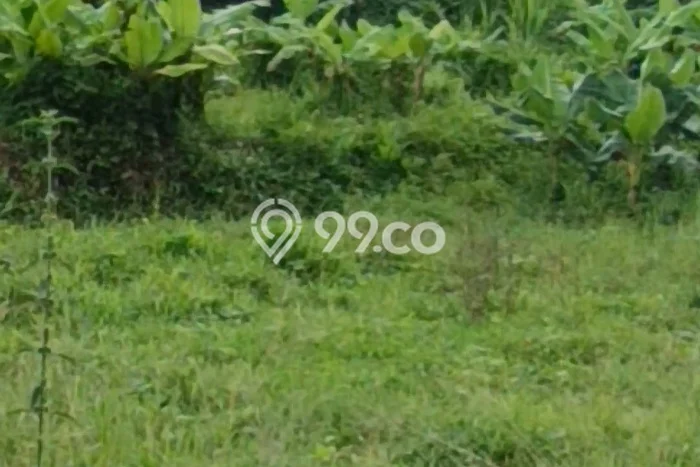 Kavling Tanah Lokasi Strategis di Ubud, Gianyar Disewakan 540m2 Kavling Tanah Lokasi Strategis di Ubud, Gianyar Disewakan 540m2