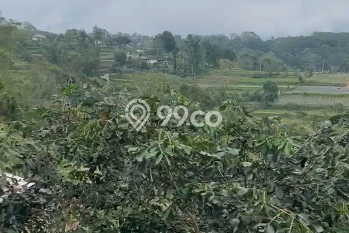 Lahan untuk Disewa di Tabanan Luas 14000m2 Lahan untuk Disewa di Tabanan Luas 14000m2