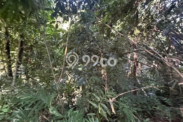 Disewakan Tanah Seluas 1000m2 di Ubud, Gianyar Disewakan Tanah Seluas 1000m2 di Ubud, Gianyar