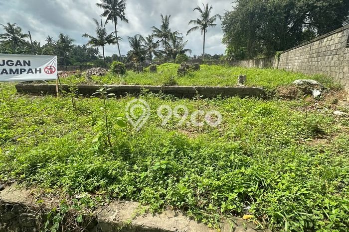 Disewakan Tanah Seluas 3100m2 di Ubud, Gianyar Disewakan Tanah Seluas 3100m2 di Ubud, Gianyar