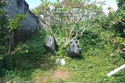 Tanah untuk Dijual di Ubud Gianyar Luas 200m2 Tanah untuk Dijual di Ubud Gianyar Luas 200m2