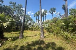 Tanah di Amed, Karangasem Luas 600m2 Dijual Segera Tanah di Amed, Karangasem Luas 600m2 Dijual Segera