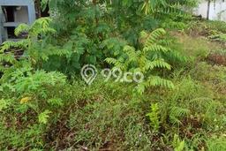 Tanah Kavling untuk Dijual di Ubud Gianyar 232m2 Tanah Kavling untuk Dijual di Ubud Gianyar 232m2