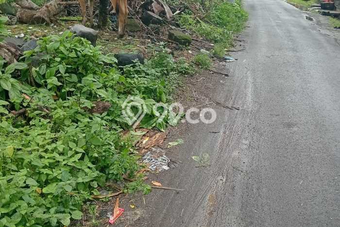 Tanah Kavling Dijual di Gianyar dengan Spesifikasi 215m2 Tanah Kavling Dijual di Gianyar dengan Spesifikasi 215m2