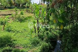 Jual Tanah Kawasan Ubud, Luas 1864m2m², Kawasan Nyaman Jual Tanah Kawasan Ubud, Luas 1864m2m², Kawasan Nyaman