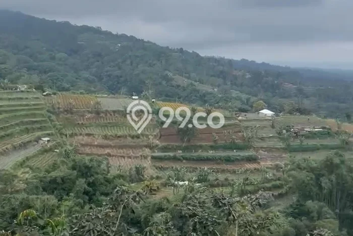 Lahan untuk Disewa di Tabanan Luas 14000m2 Lahan untuk Disewa di Tabanan Luas 14000m2
